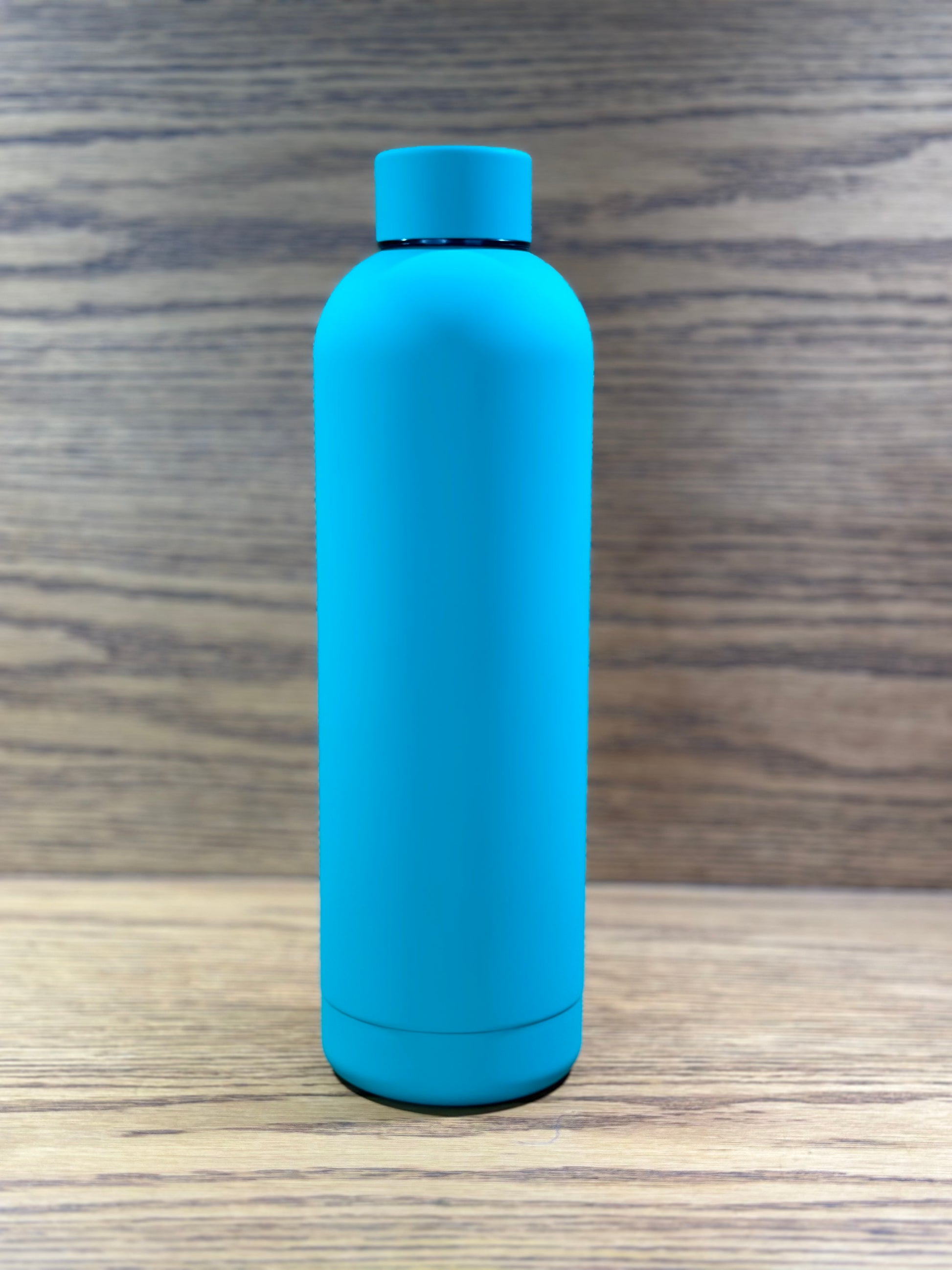 FROSTED VACUUM INSULATED BOTTLE 750ML - TDL HOUSEHOLD